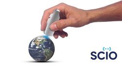 Смартфон и портативный сенсор расскажут всё о продуктах